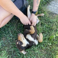 Photo of Jack