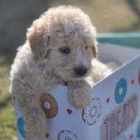 Photo of Ernie