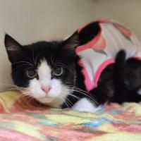 Photo of 🍭 Digby 6680 🍭