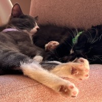 Photo of Dot & Dennis