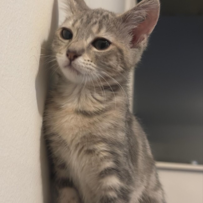 Photo of Perla/Winnie