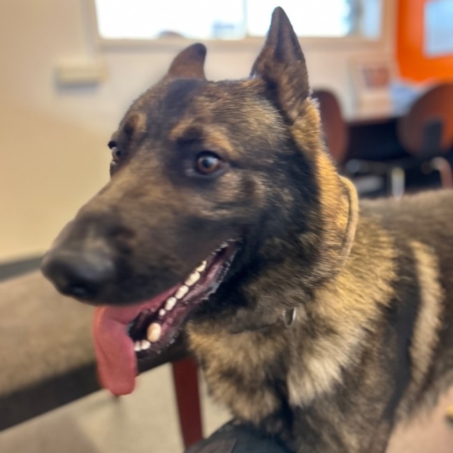 Photo of Duke