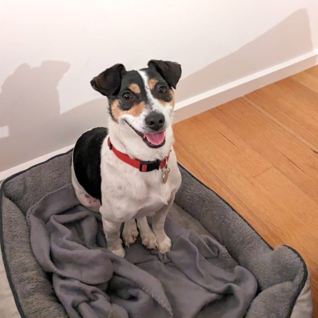 Photo of Giuseppe (Pep/Pepino/Pepe)