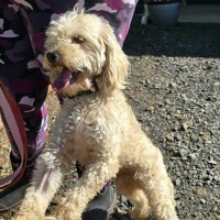 Photo of Bubble And Squeak