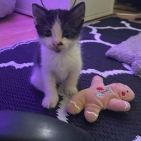 Photo of Katara