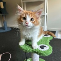 Photo of Marlin