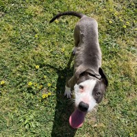 Photo of Dora