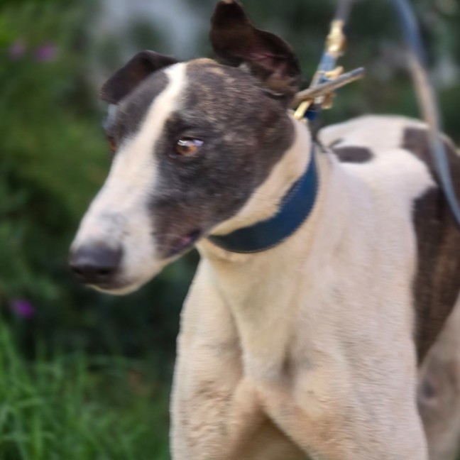 Photo of Deal Breaker