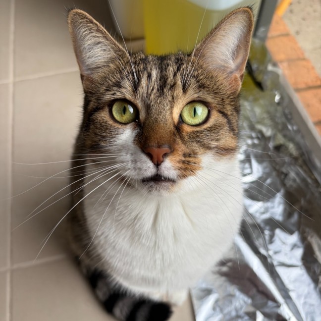 Photo of Holly
