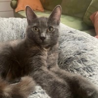 Photo of Chloe