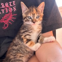 Photo of Mabel