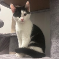 Photo of Parkway 💕