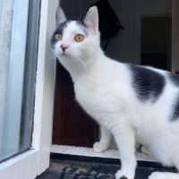 Photo of Birdie & Boo🐦