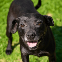 Photo of Freya