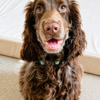 Photo of Monty
