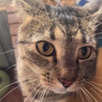Photo of Cleo