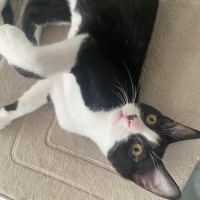 Photo of Buster