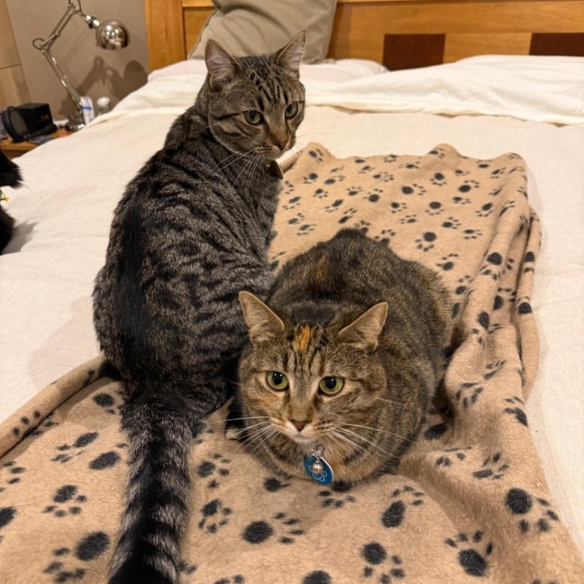 Photo of Remmie & Rosie