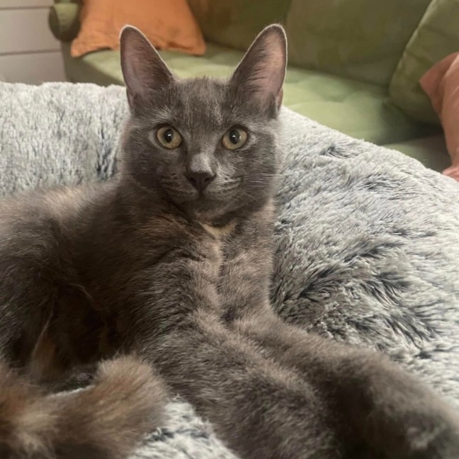 Photo of Chloe