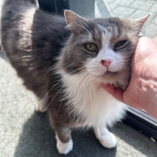 Photo of Mr Fluffaluffagus