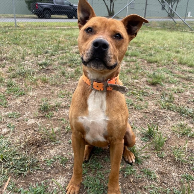 Photo of Tank