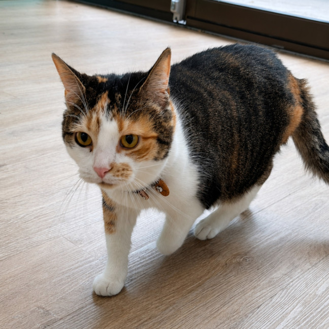Photo of Zoe