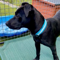 Photo of D1044 Marley