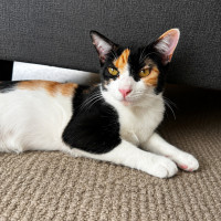 Photo of Marceline