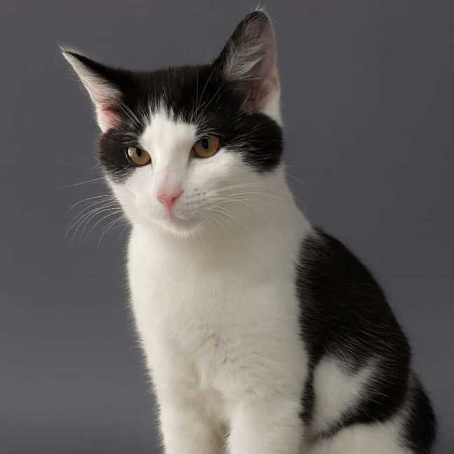 Photo of Sprout