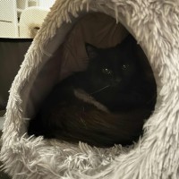 Photo of Twirl