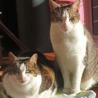 Photo of Missy & Sonny 🌺💙