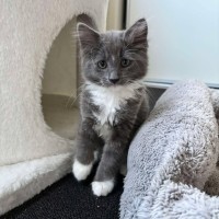 Photo of Savannah And Smokey