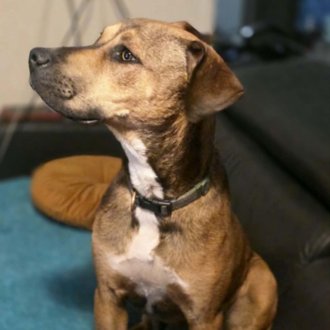 Photo of Barnie   Swarley 