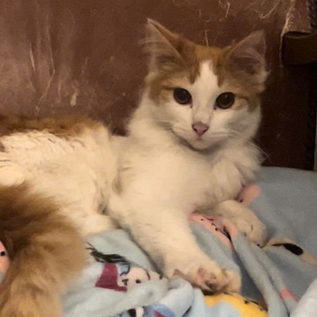 Photo of Murphy
