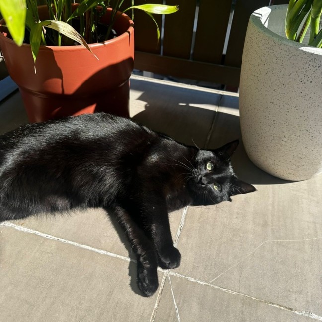 Photo of 💚 Mali 💚