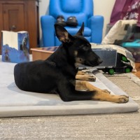 Photo of Echo