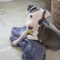Photo of Leroy
