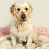 Photo of Tammy