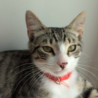 Photo of Alvin