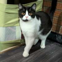 Photo of Mister Wigglebottom 