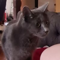 Photo of Felicia 🌹