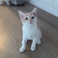 Photo of Georgia