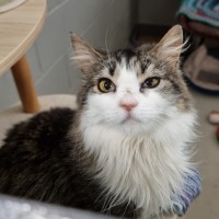Photo of Nellie