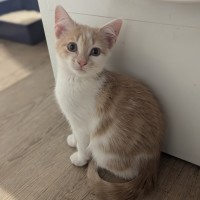 Photo of Georgia