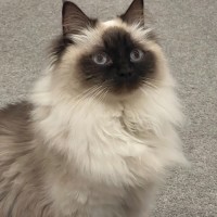 Photo of Evie