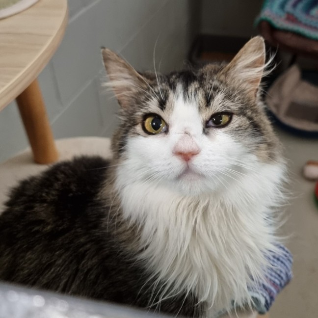 Photo of Nellie