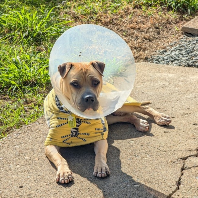 Photo of Spunk