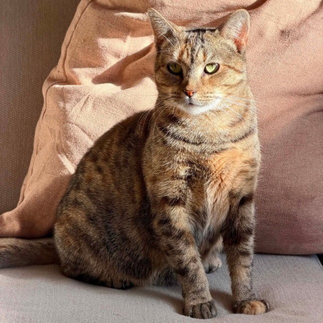 Photo of Heidi