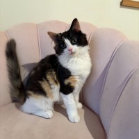 Photo of Jemma