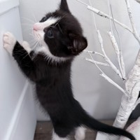 Photo of Addy 🌸🌸